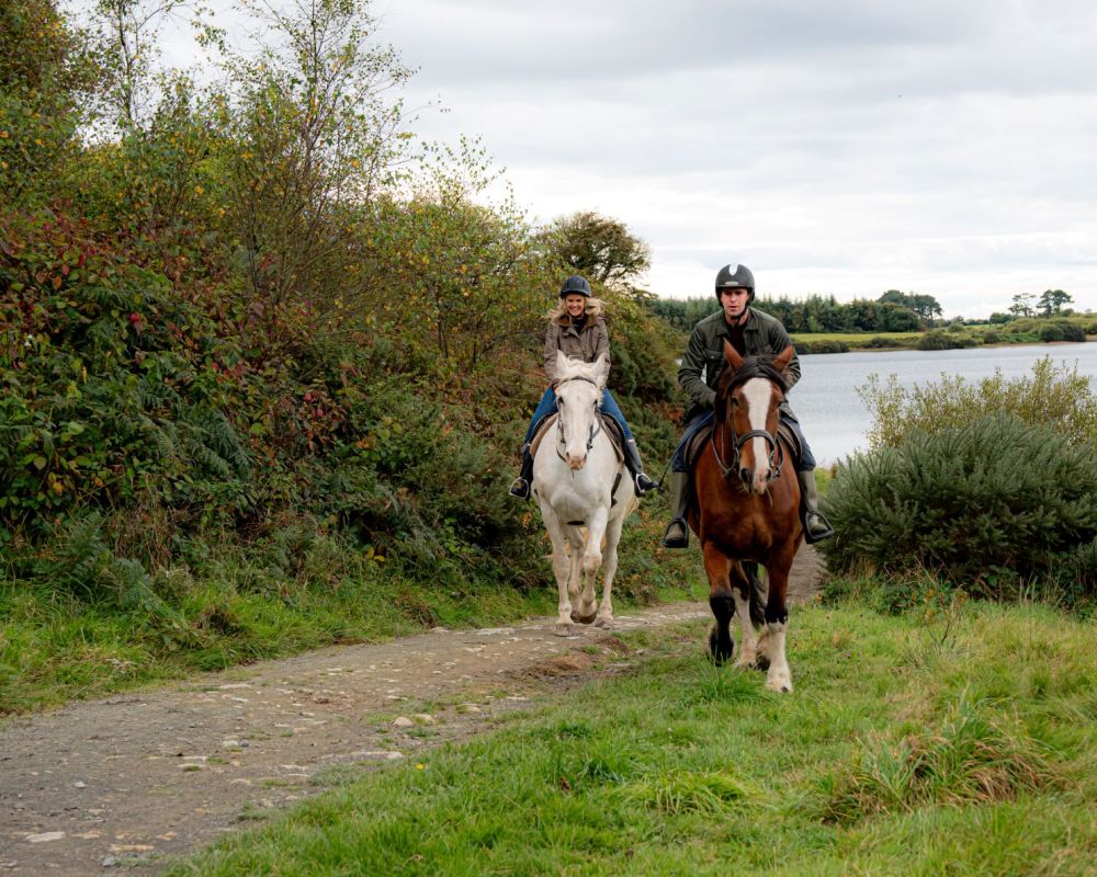 Horse riding banner www.faithlegg.com_v3