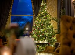 Enjoy a festive break away this Winter.  Including 2 nights Bed & Breakfast with Dinner both evenings and many more seasonal extras from just €455